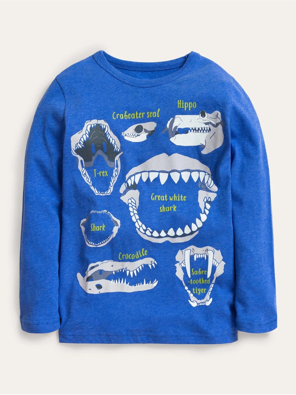 Mini boden long sleeve dino tshirt sz 3-4Y